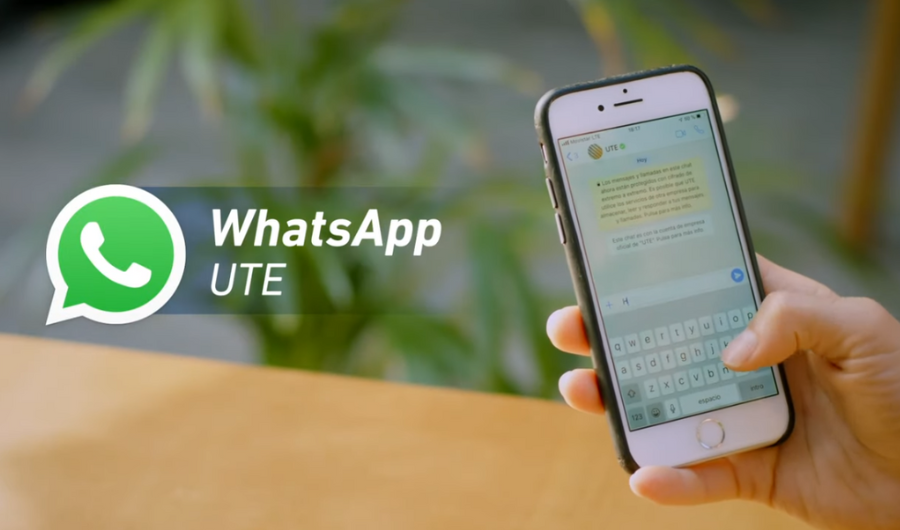 UTE Whatsapp
