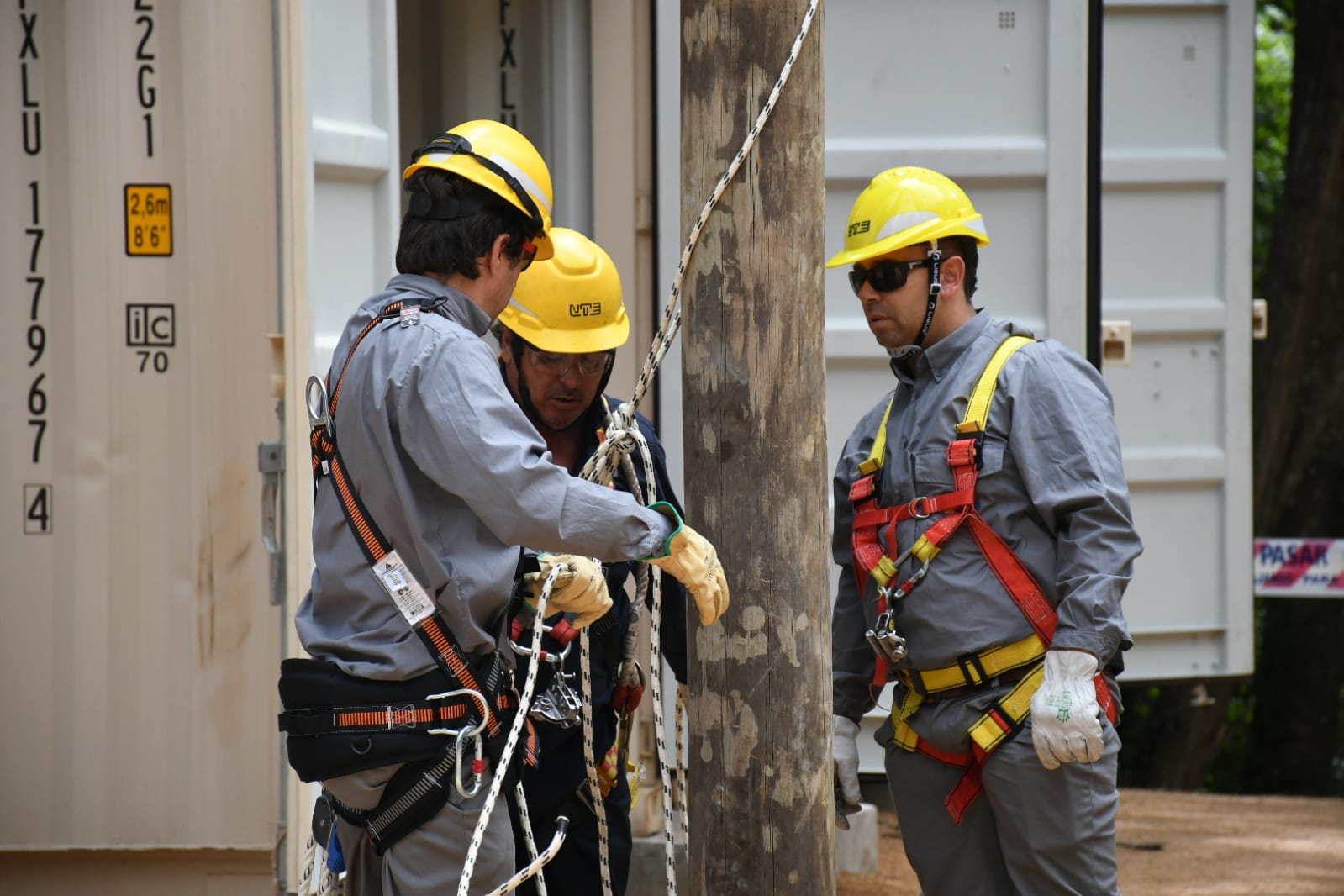 Operarios trabajando