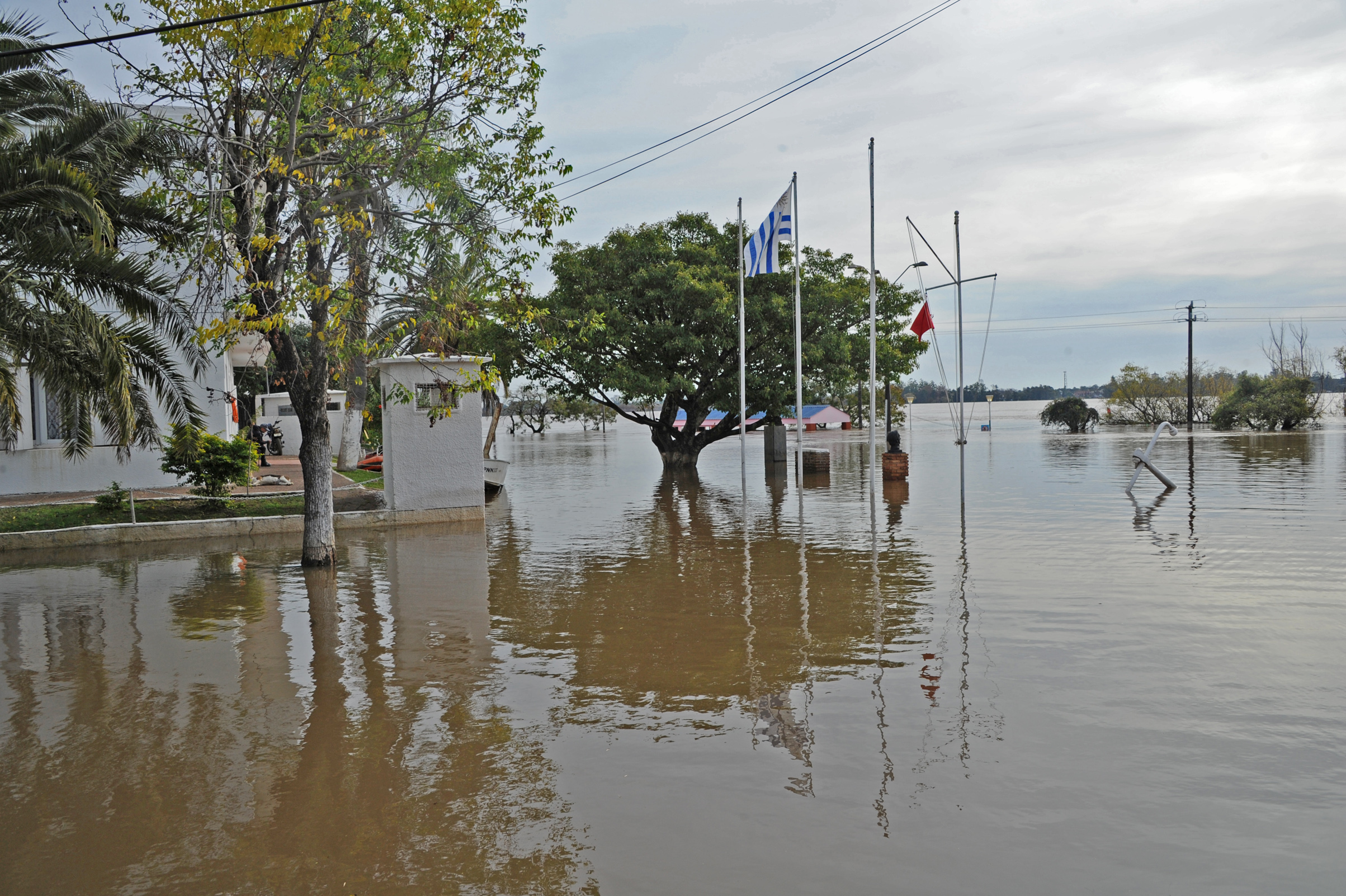 Inundaciones 2018-2019