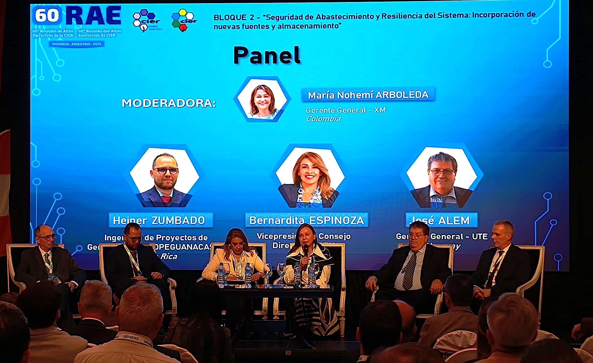 60ª edición de la Reunión de Altos Ejecutivos de la Comisión de Integración Energética Regional (CIER)