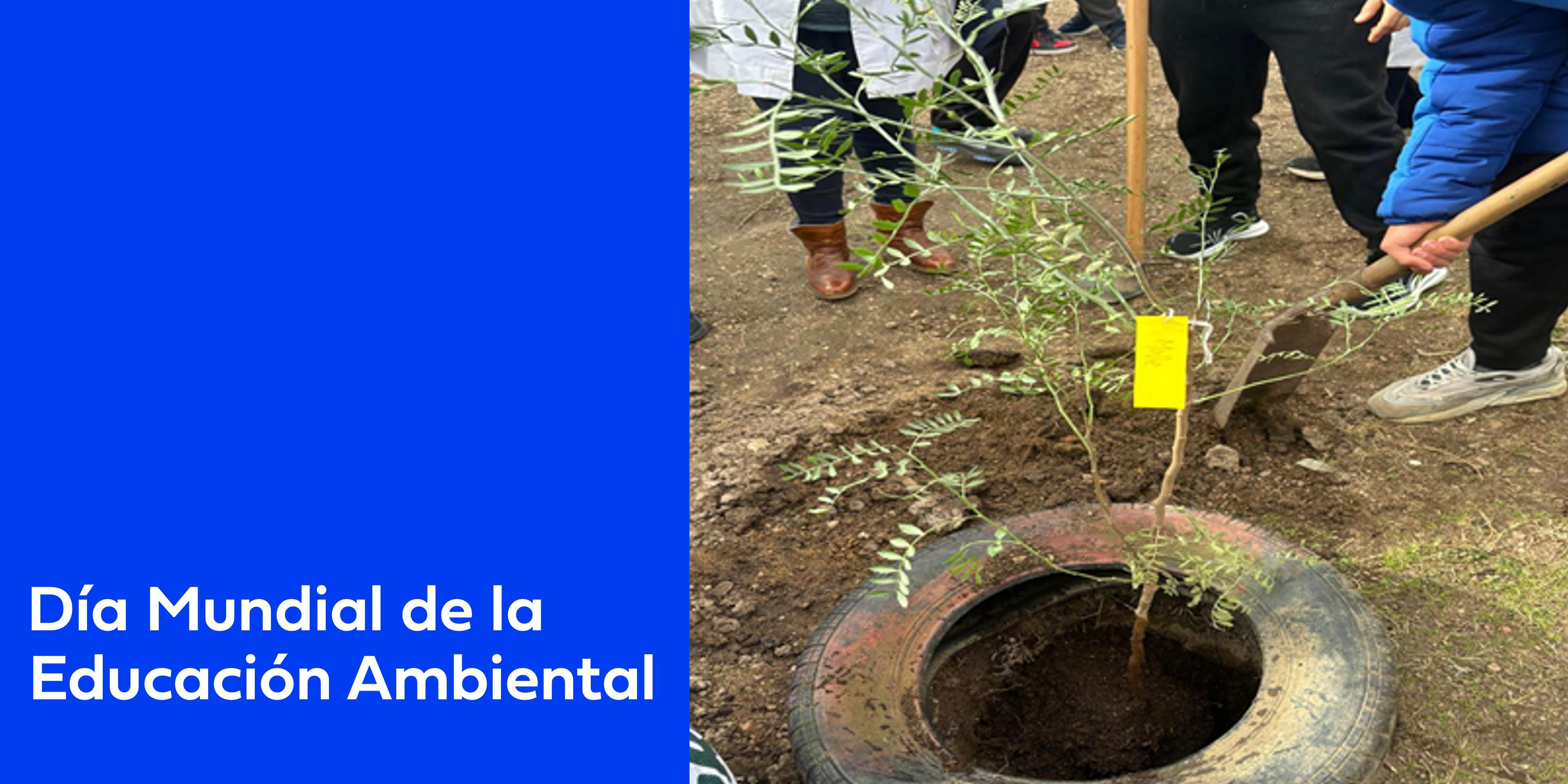 26 de enero Día Mundial Educación Ambiental