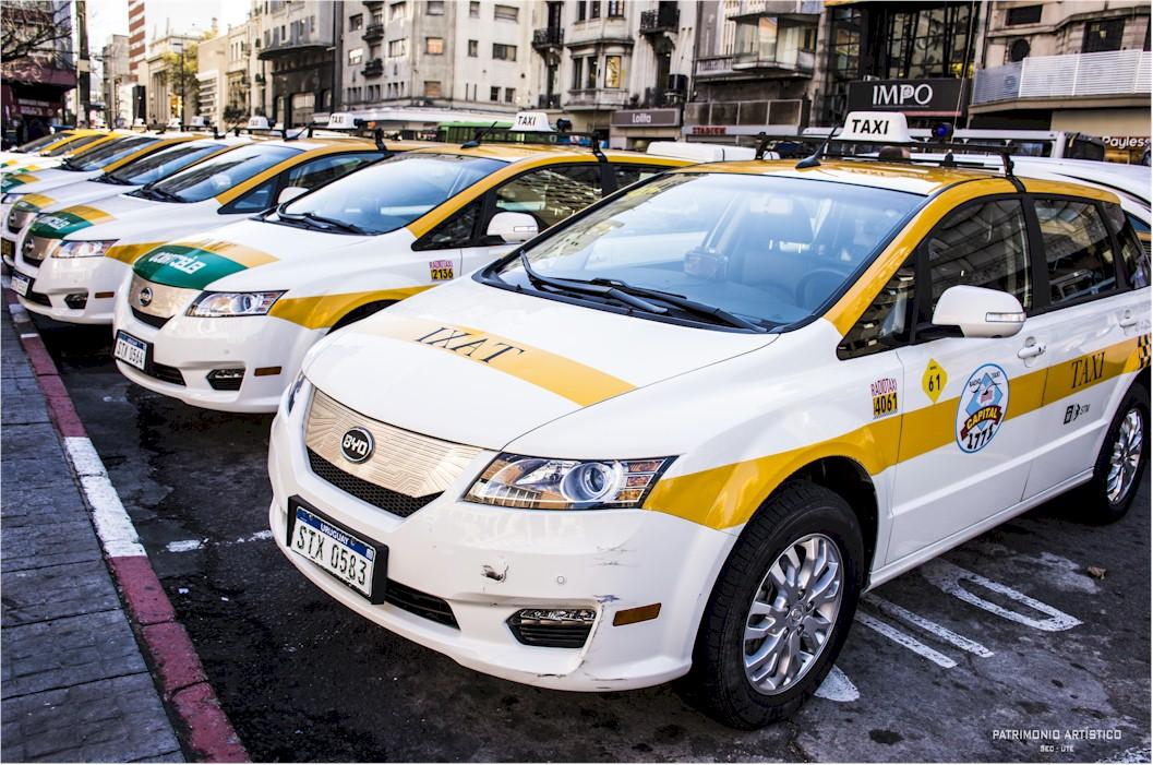 Parte de la flota de taxis eléctricos de Montevideo